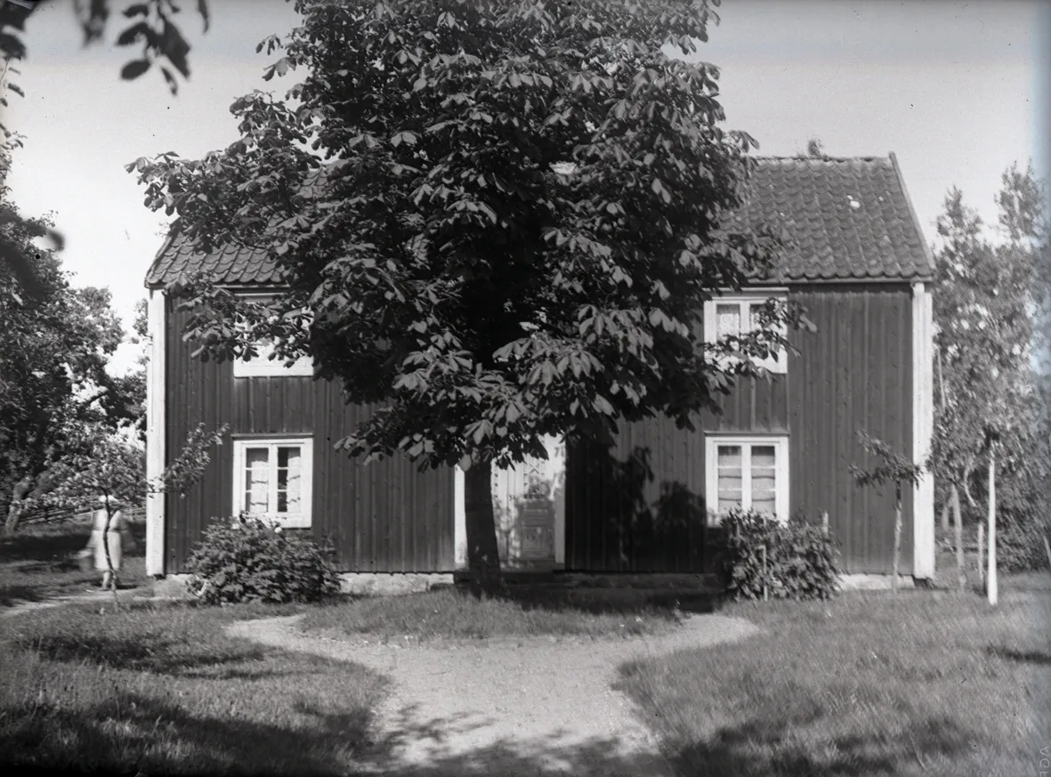 vårdträd
