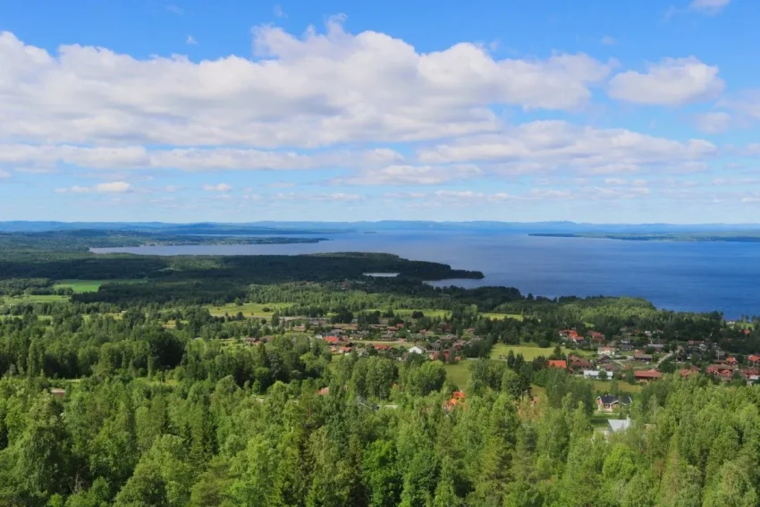 baggböleri