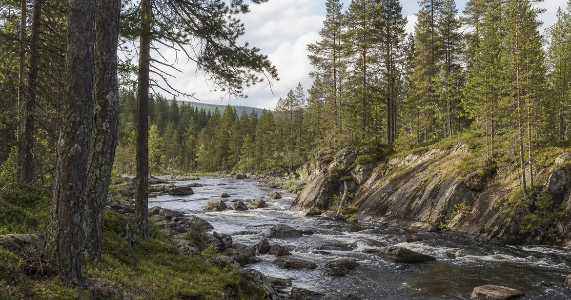 Gästriklands tingslag och domböcker - domboksforskning