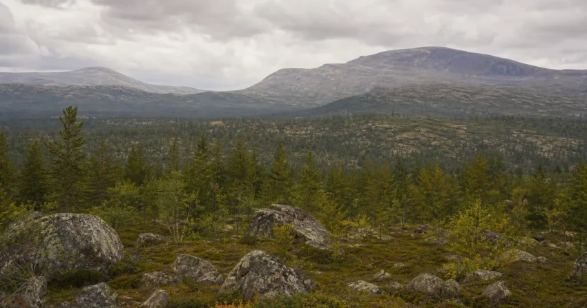 Härjedalens tingslag och domböcker - domboksforskning