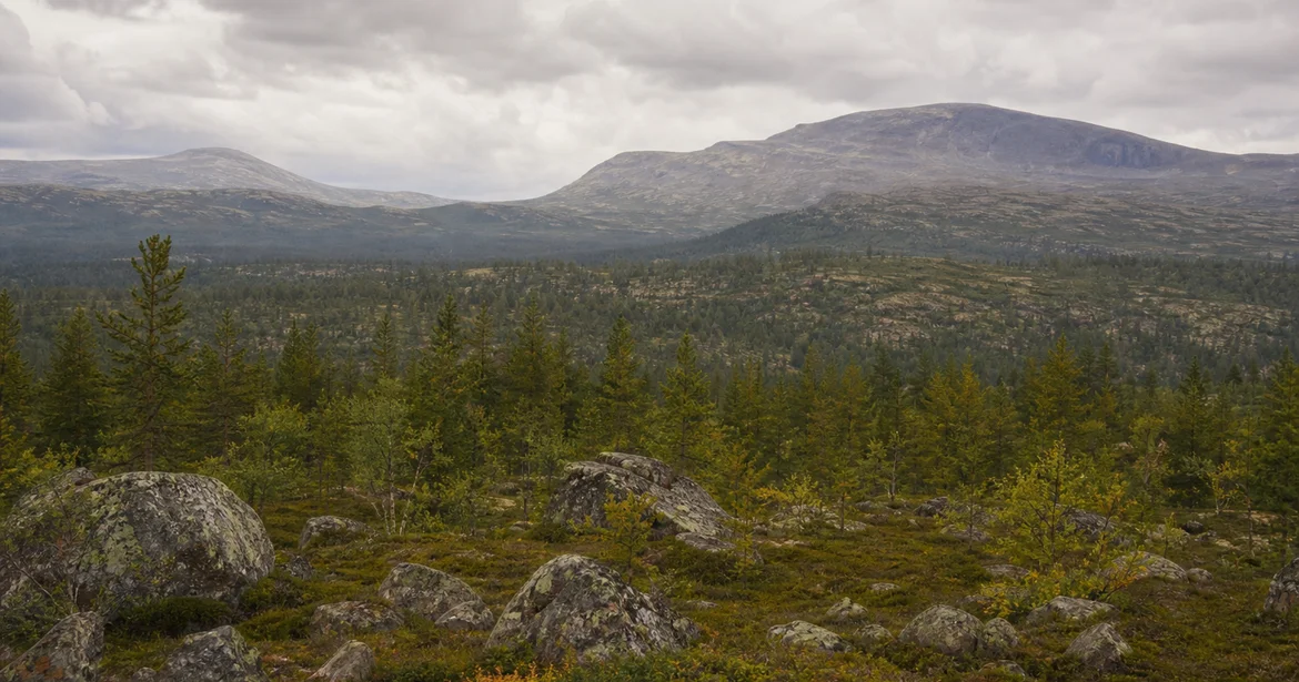 Härjedalens tingslag och domböcker - domboksforskning