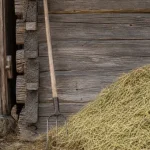 Tjuga